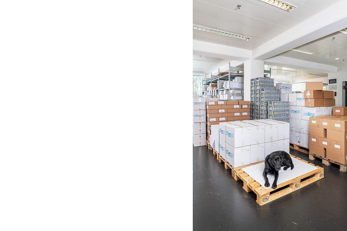 Blindenführerhund bei Identitas