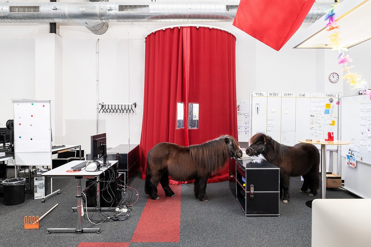 zwei Ponys im Büro bei Identitas - fotografier für den Geschäftsbericht 2019