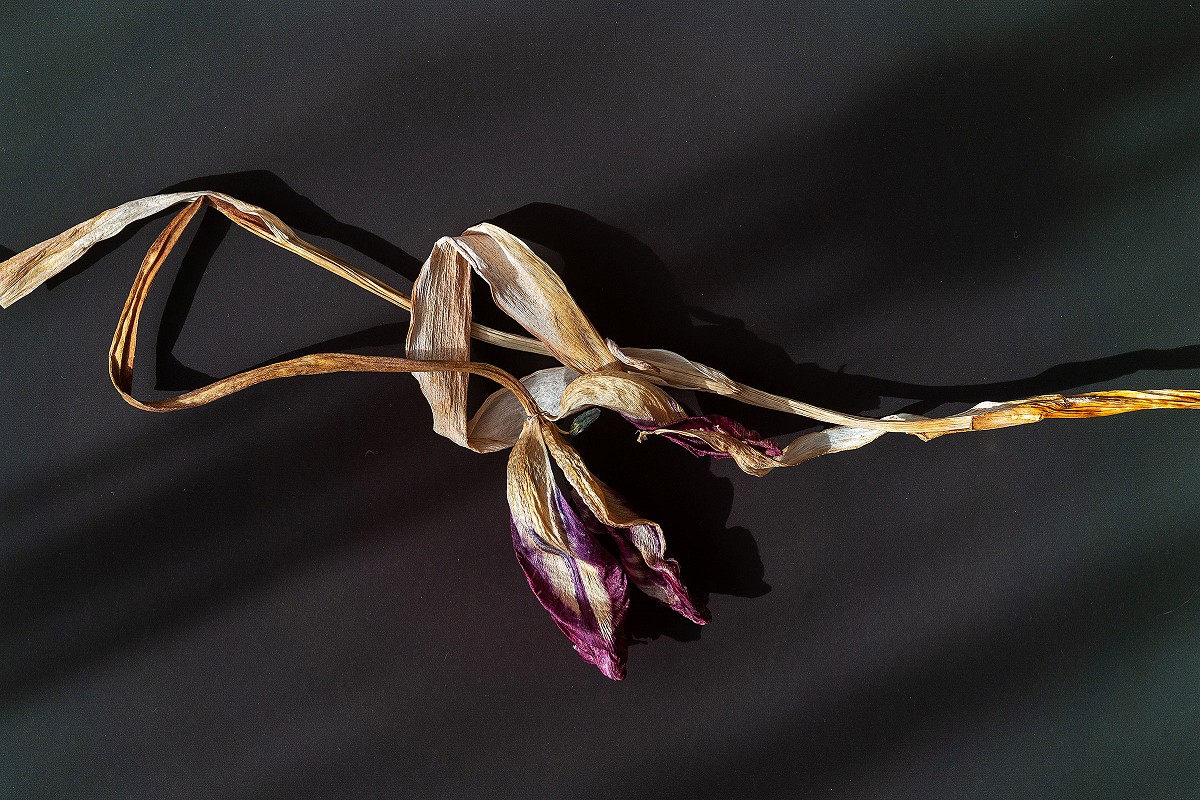 was davon übrig bleibt